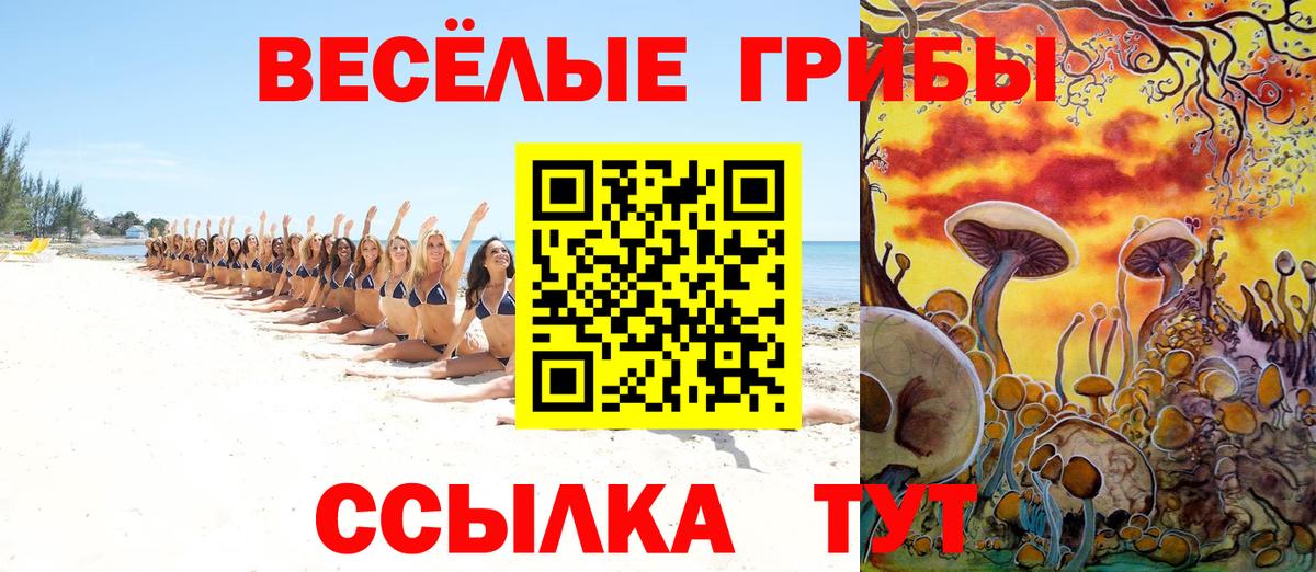 что такое наркотик  Вход с VPN  Вязьма  Галлюциногенные грибы MAGIC MUSHROOMS 